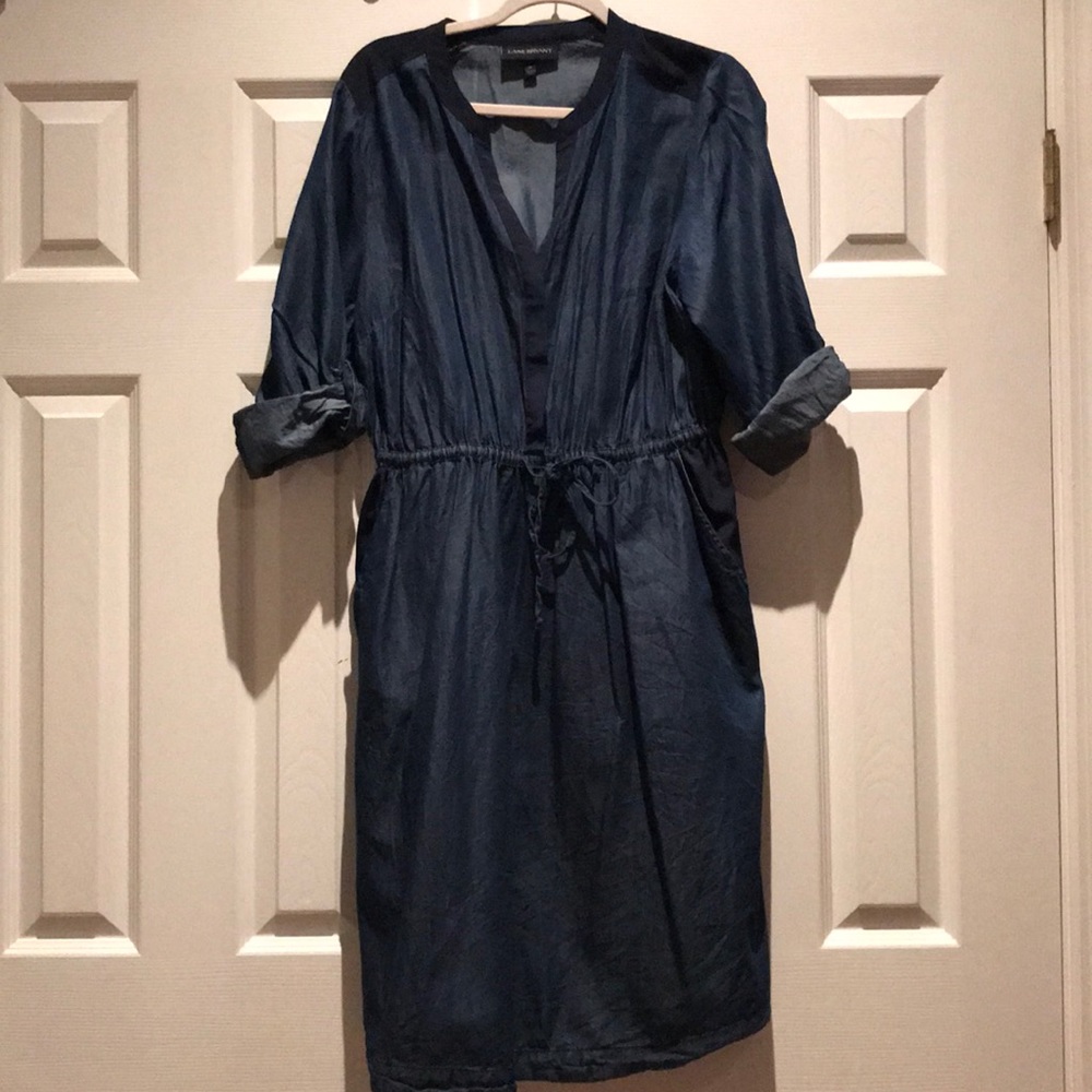 Plus size denim dress